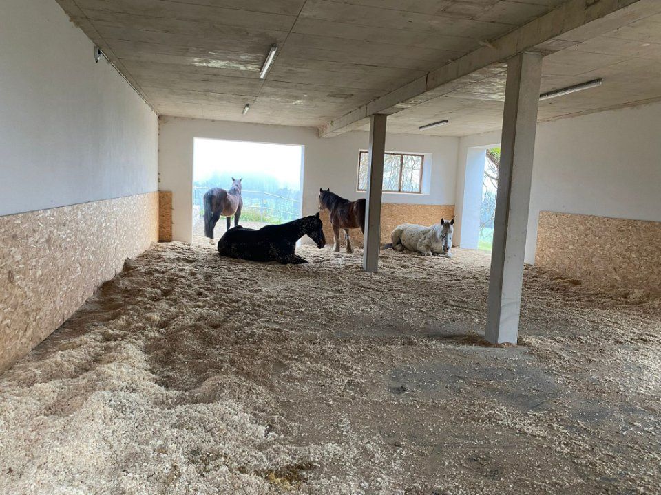 Aktivstall Roswitha Lindner