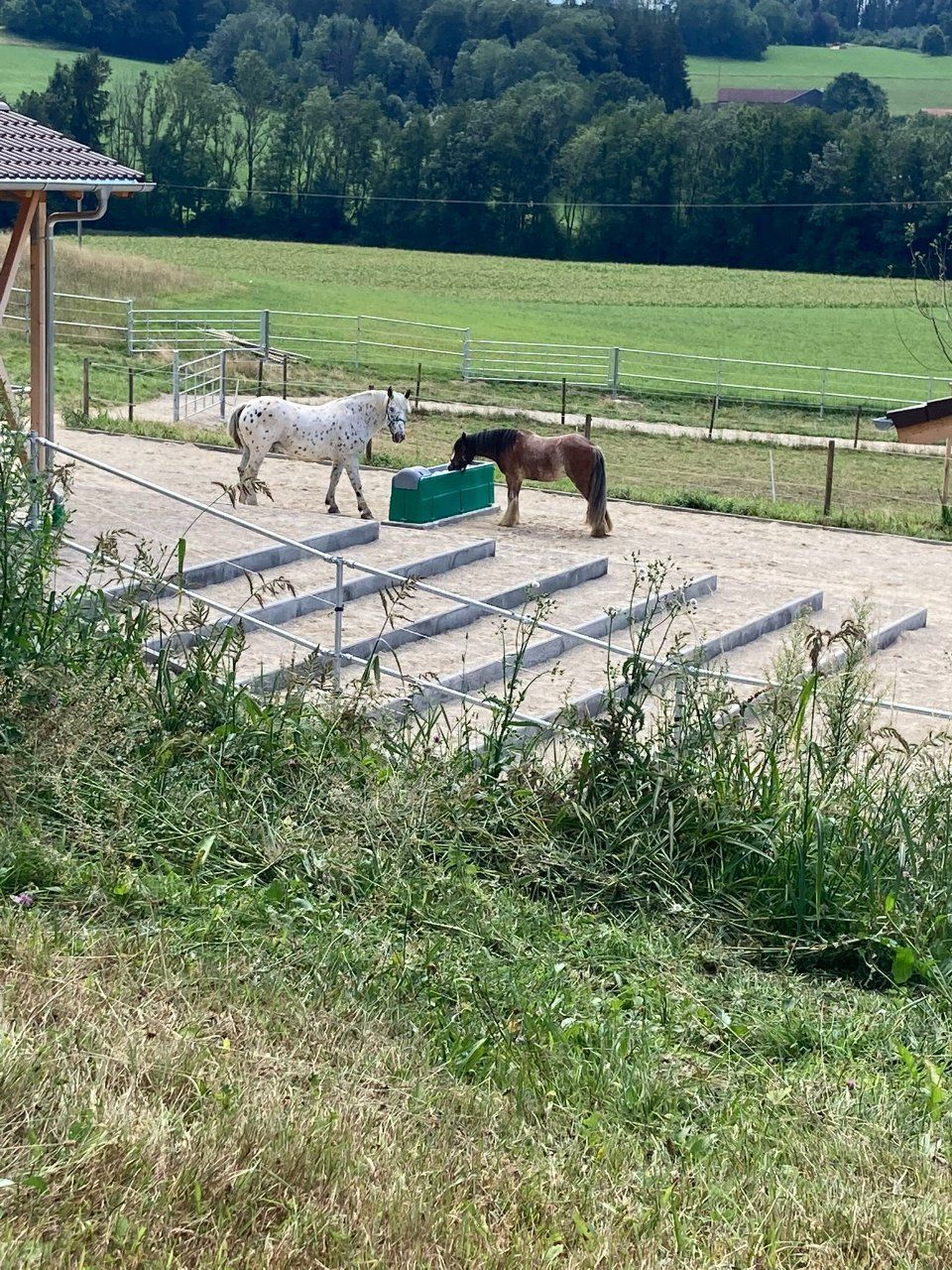 Aktivstall Roswitha Lindner