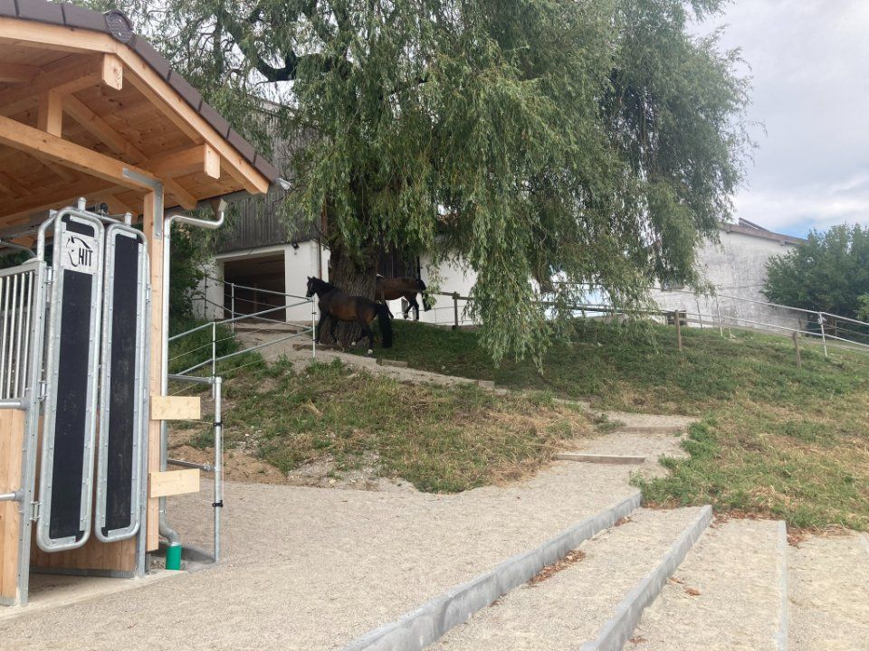 Aktivstall Roswitha Lindner