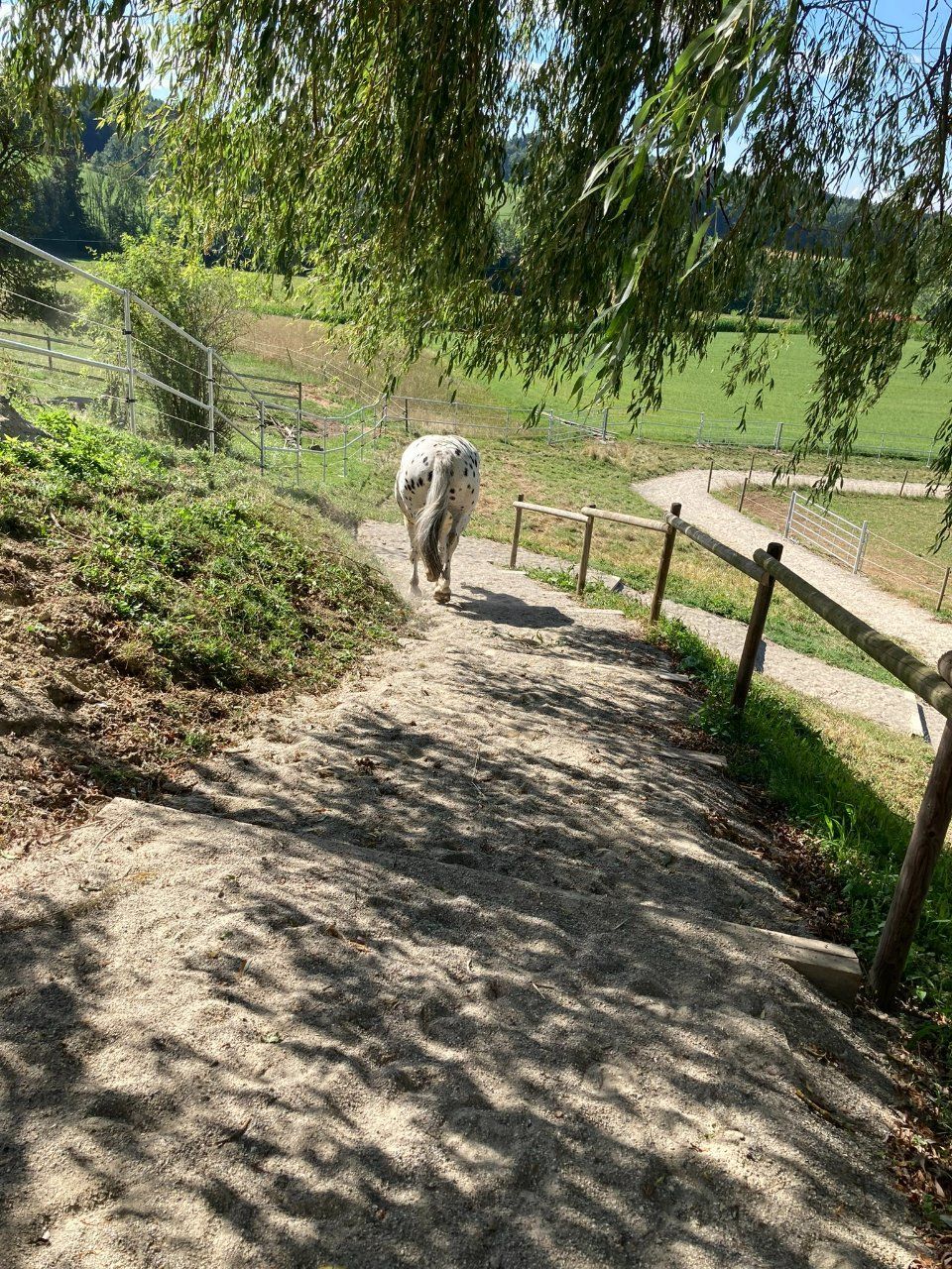 Aktivstall Roswitha Lindner