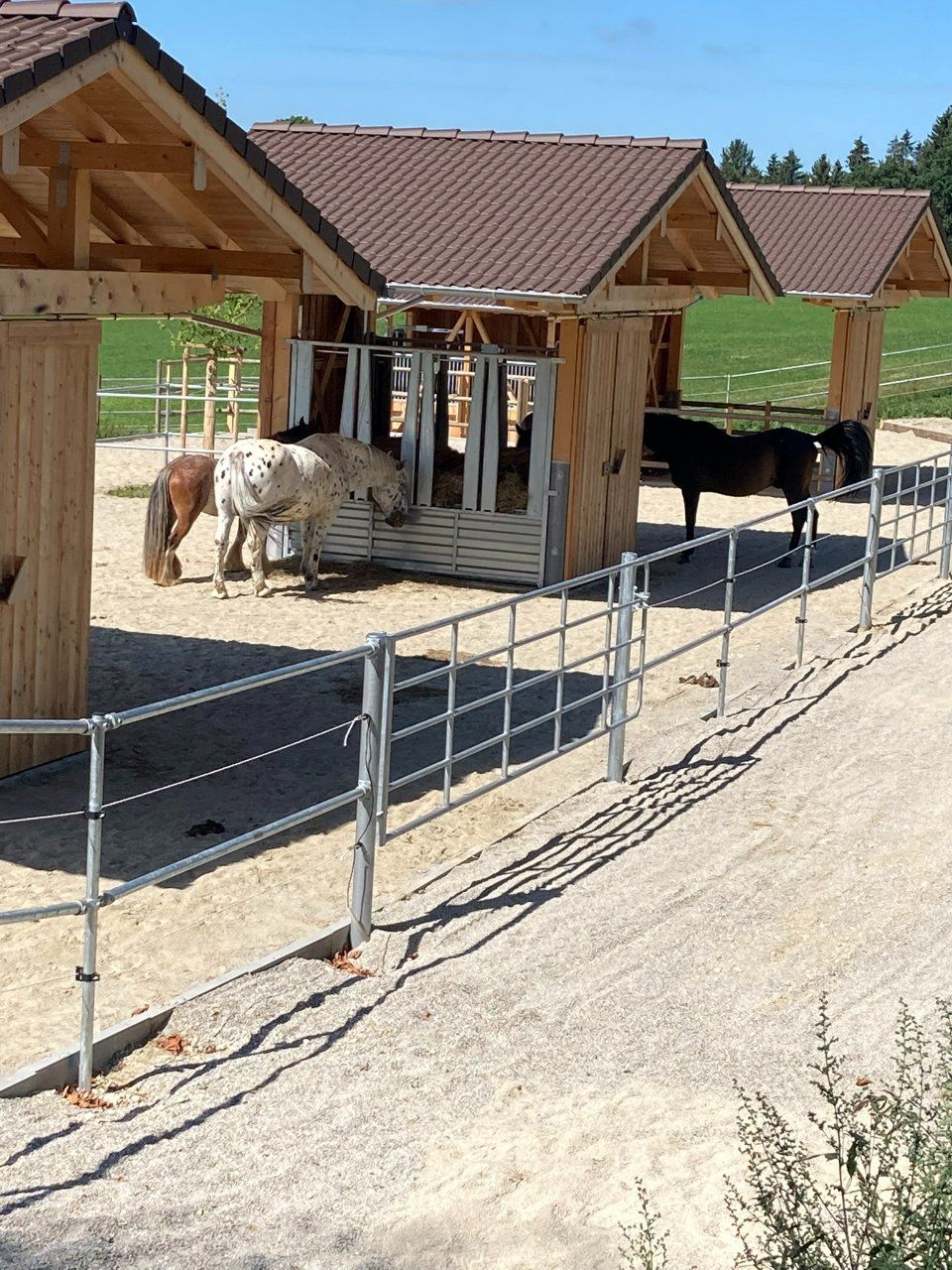 Aktivstall Roswitha Lindner