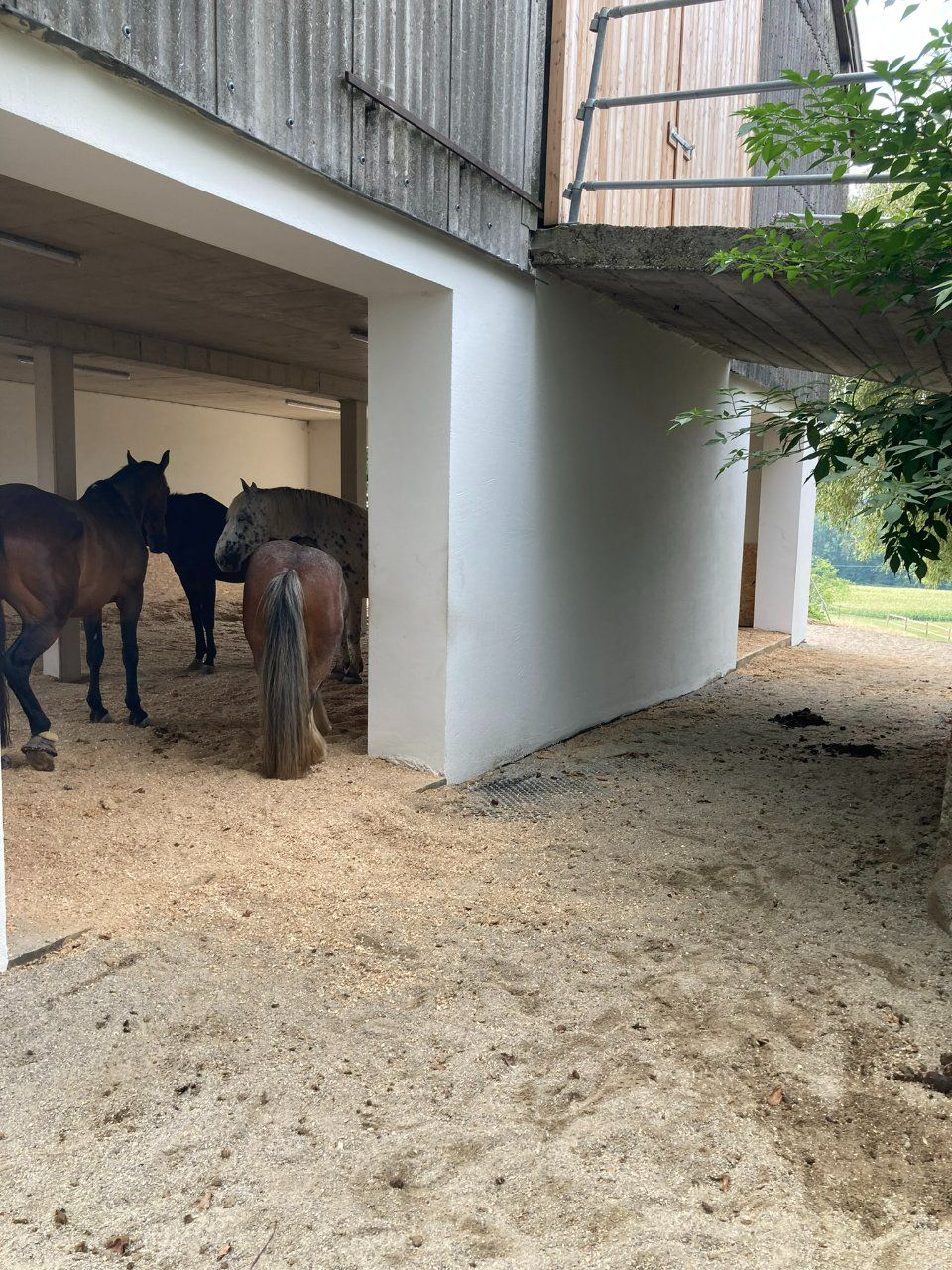 Aktivstall Roswitha Lindner