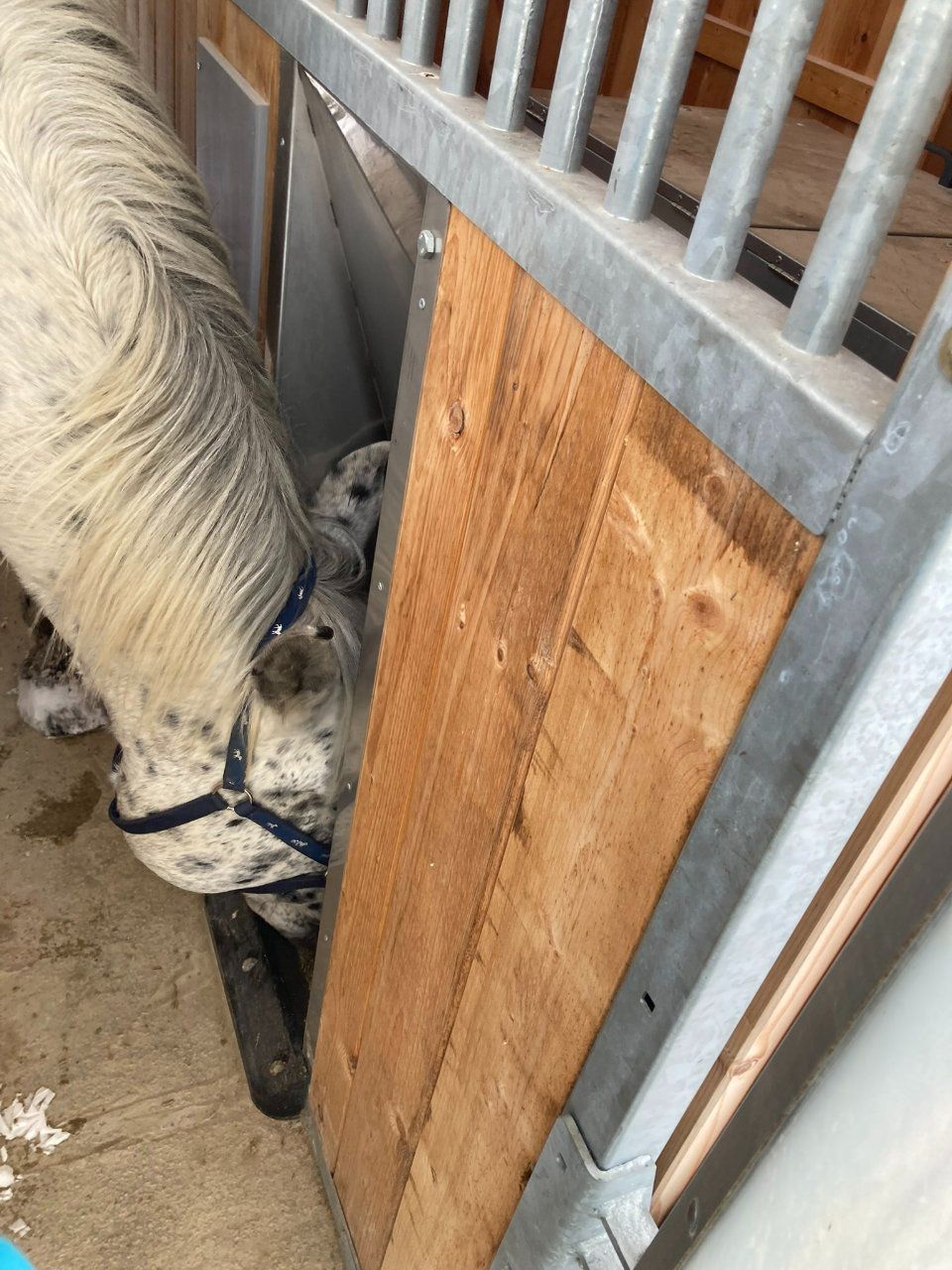 Aktivstall Roswitha Lindner