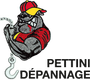 Logo de PETTINI D&Eacute;PANNAGES