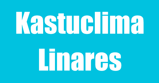 logotipo cabecera