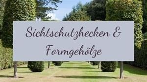Pflanzung und Pflege von Sichtschutzhecken und Formgehölzen