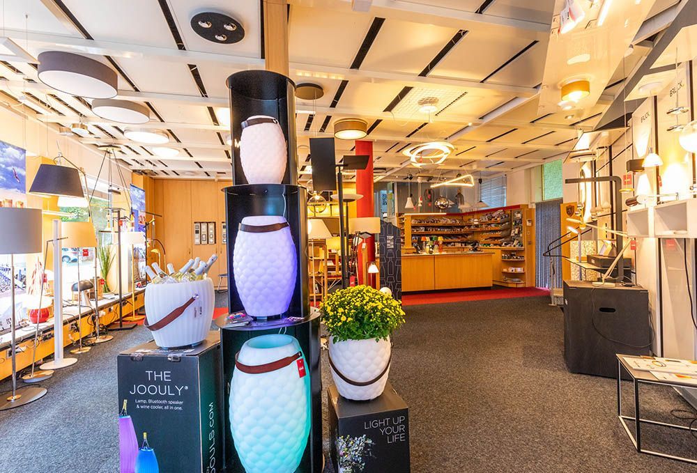 Ein Geschäft voller Lampen und Topfpflanzen.