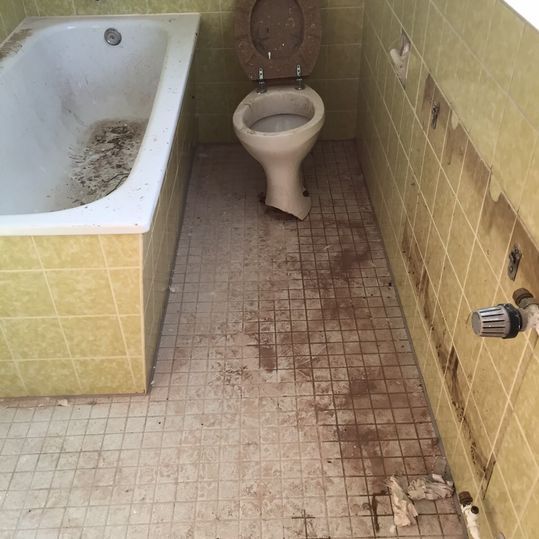 Badezimmer voller Dreck, kaputter WC-Schüssel und dreckigen gelben Fliesen