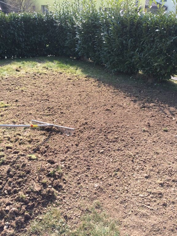 Vorplatz + Gartenrevision - Gebr. Hutter AG - Schinznach Bad