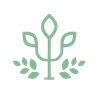 Logo psy vert HD recadr&eacute;.png