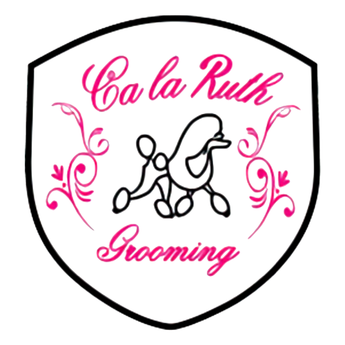 logotipo cabecera