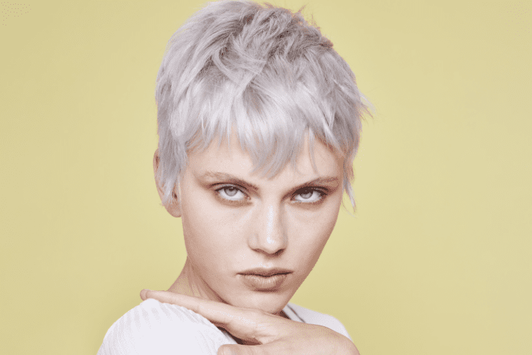 Alcina - Coiffeur Mutabor