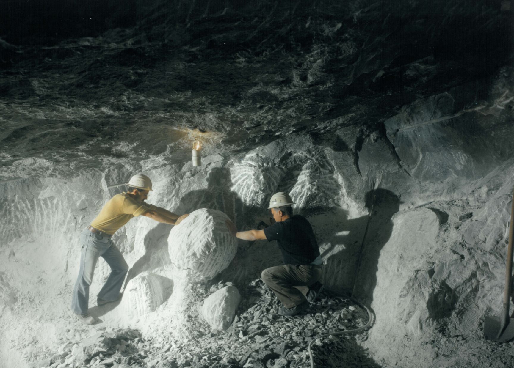 Stollen Kanope Haustierurne Schweiz Toskana weltweit