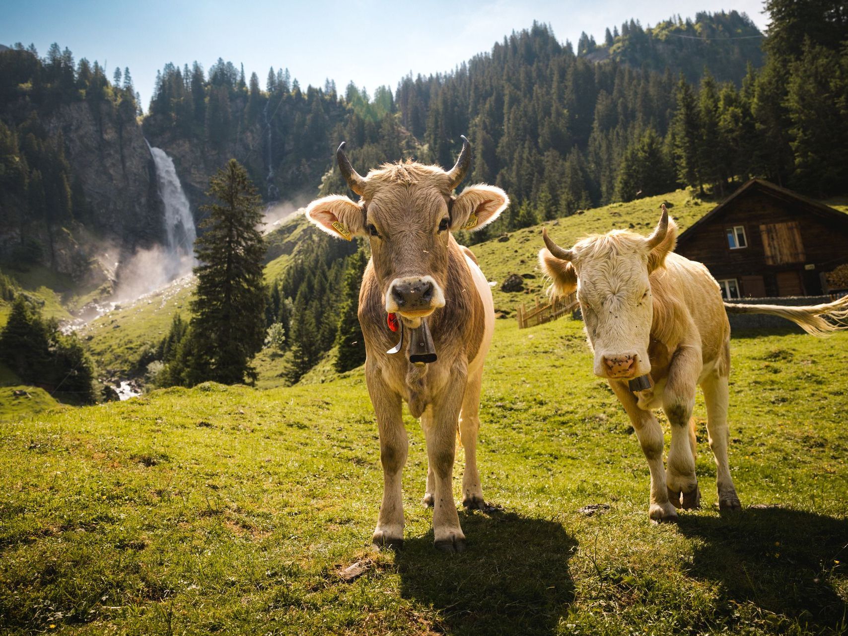 Elektro Mängelbeheung Landwirtschaft Norbert Schmid Elektrokontrollen - St. Gallenkappel