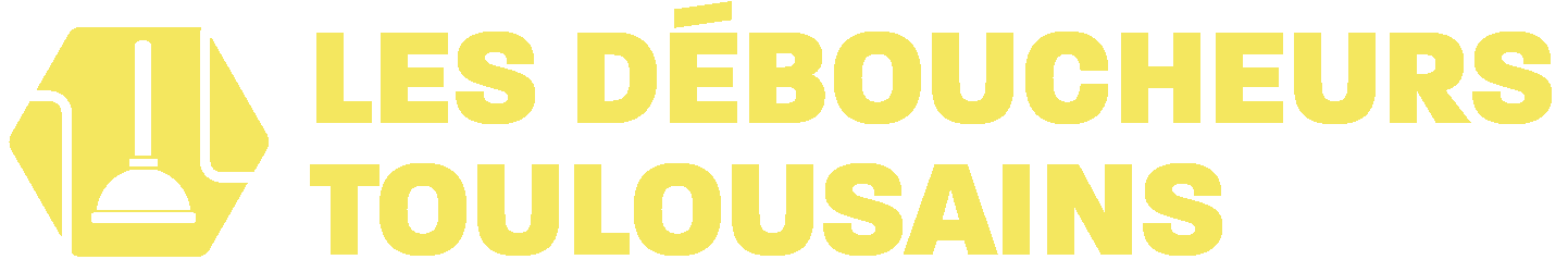 Logo Les Déboucheurs Toulousains