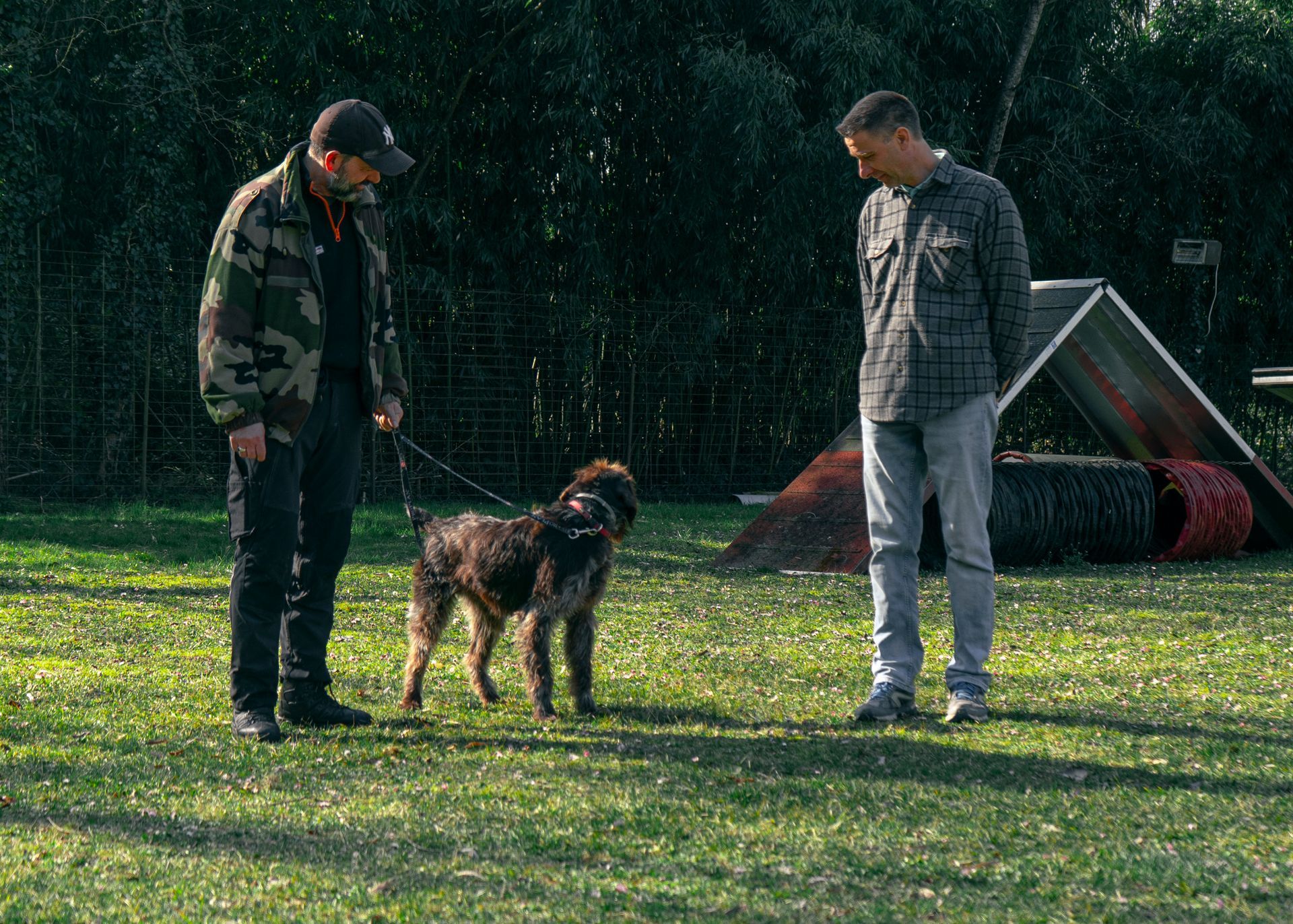 Deux hommes et un chien dans un champ herbeux. L'un tient la laisse, l'autre regarde.