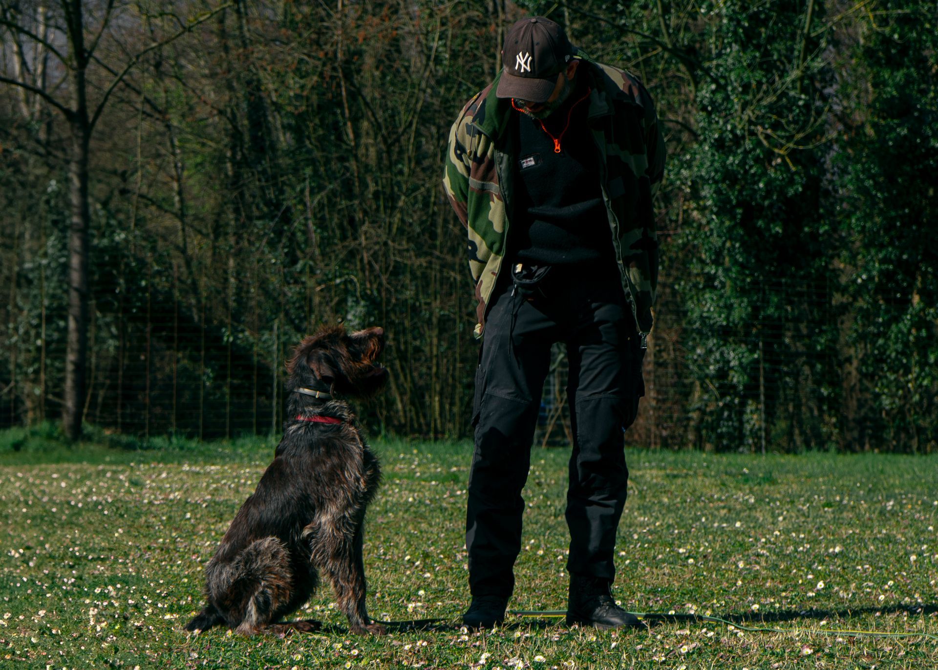 Un chien et une personne en extérieur. Le chien est assis et regarde la personne.