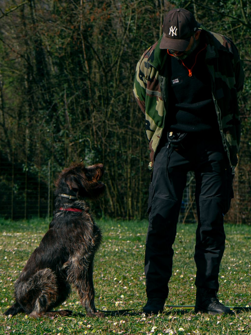 Un homme en veste de camouflage avec un chien dans un champ.