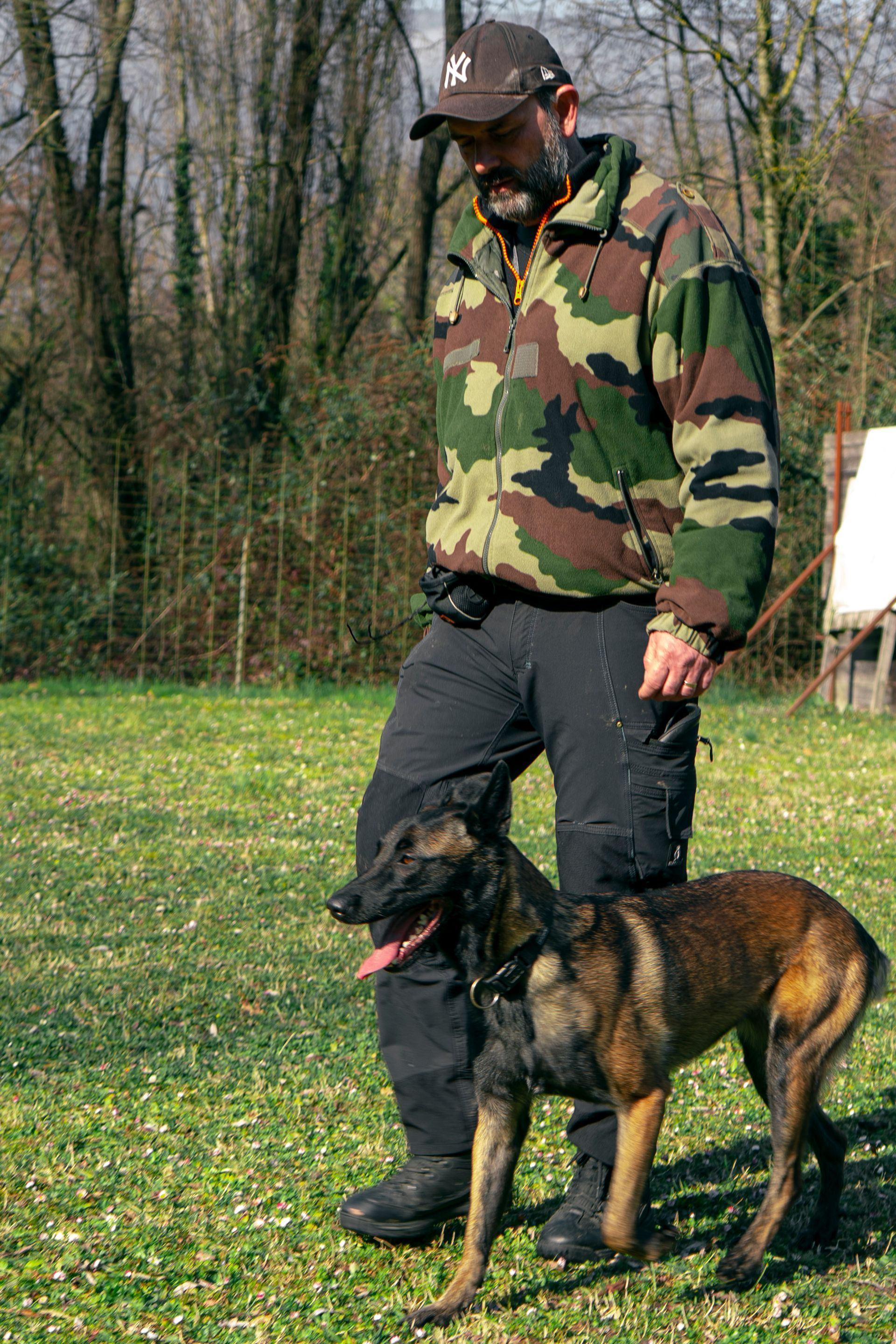 Un homme en veste de camouflage avec un chien belge malinois.