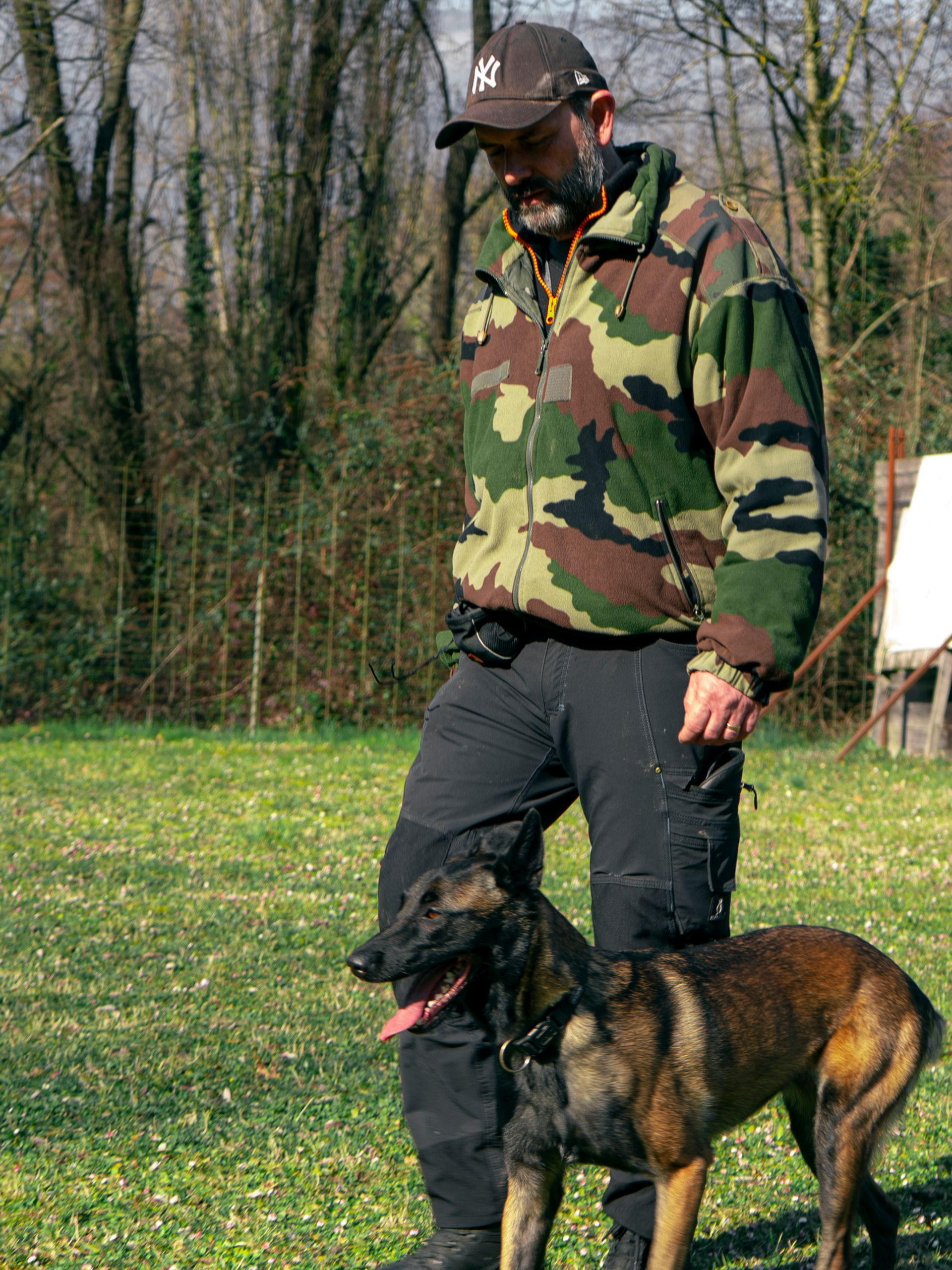Un homme en veste de camouflage et casquette et un malinois dans une zone herbeuse.