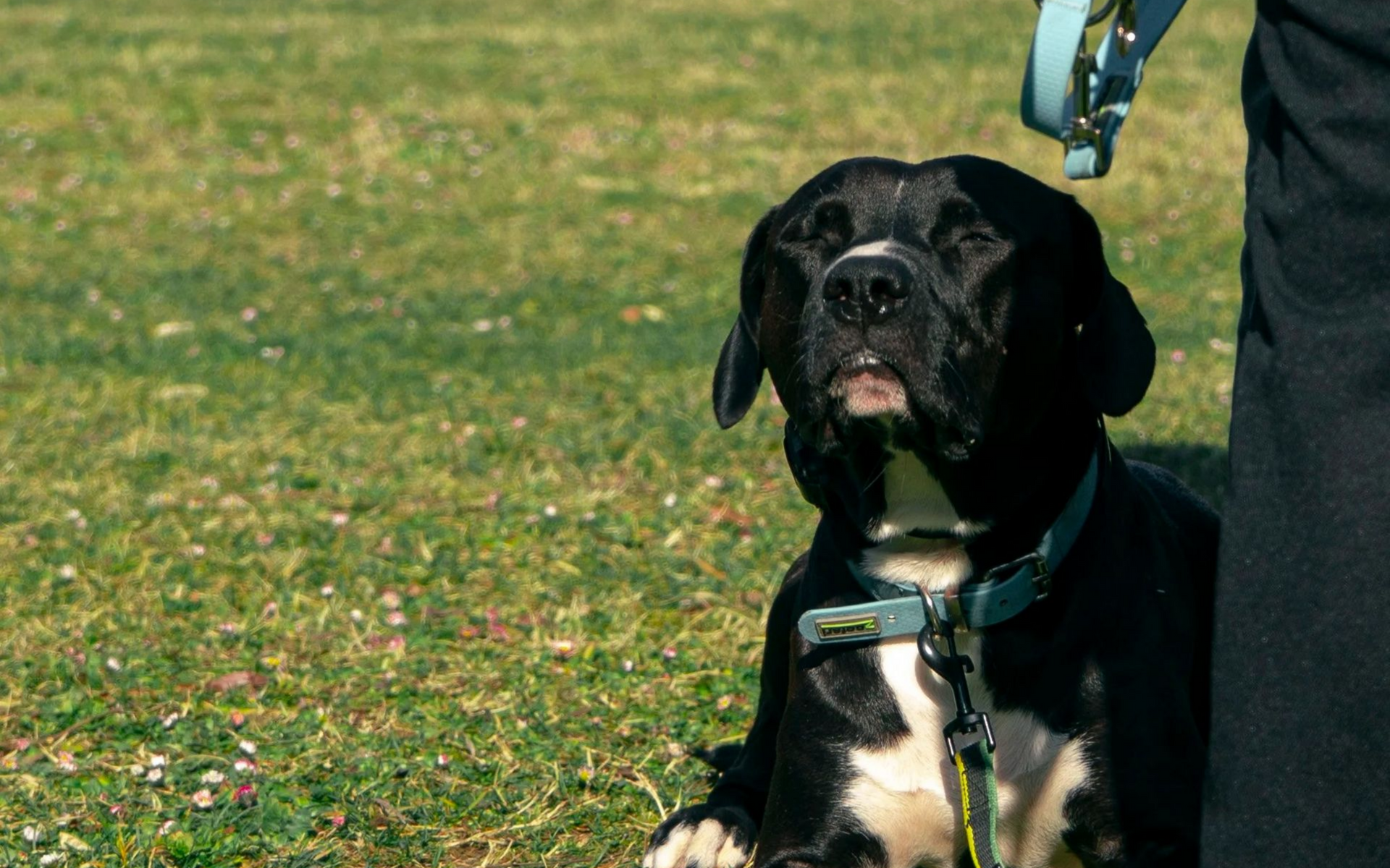 Vers la page programme d'éducation.