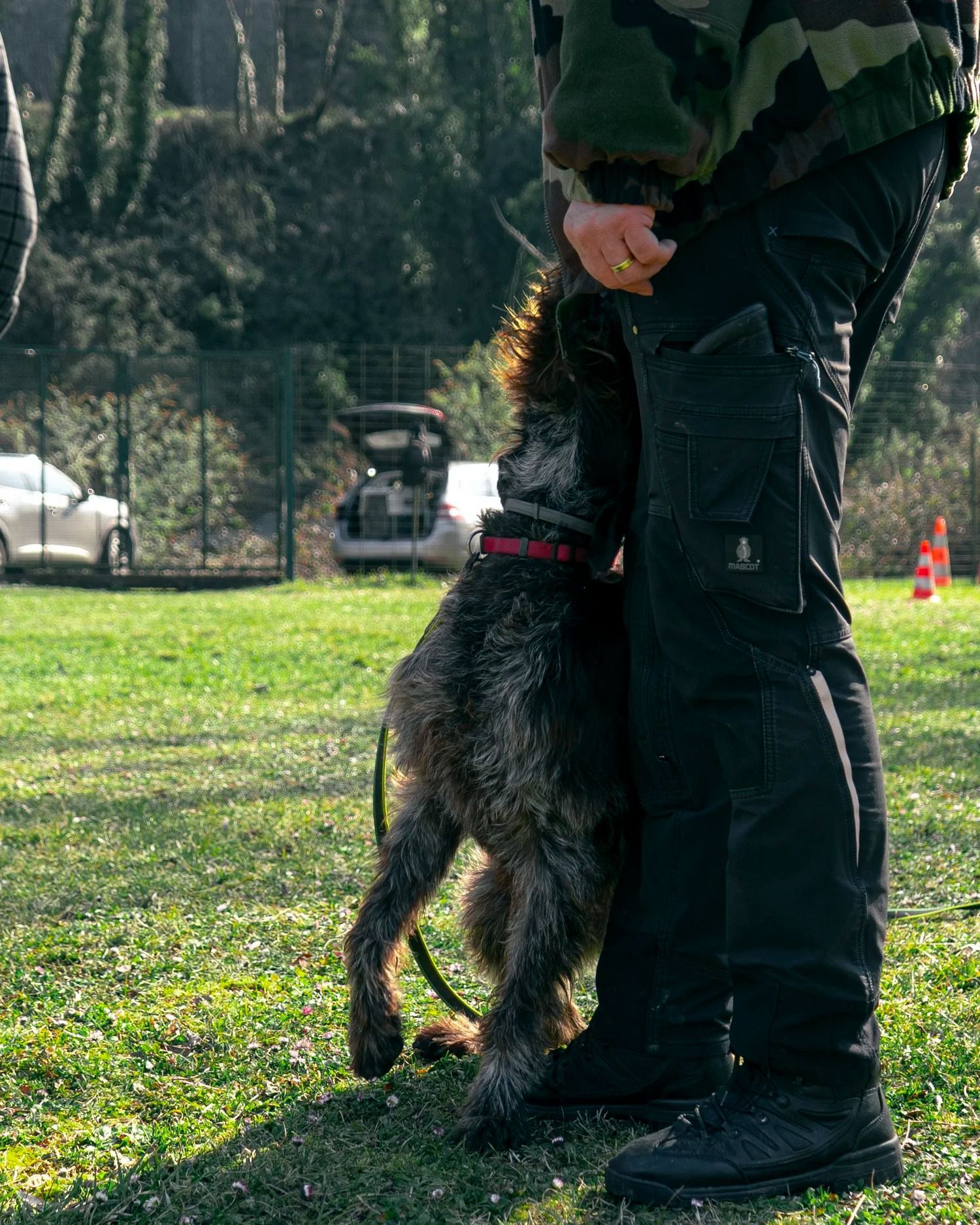 Un chien se tient près des jambes d'une personne dans un champ.