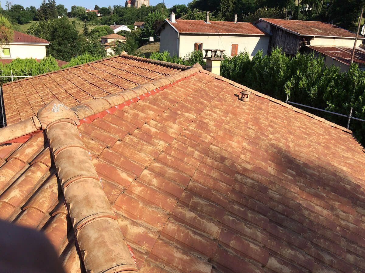 Des toits de tuiles en terre cuite dans un quartier résidentiel ensoleillé, avec des arbres et des maisons en arrière-plan