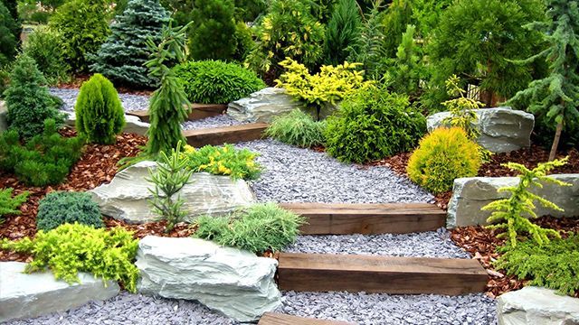 Focus sur un chemin avec des marches en bois dans un jardin soigné