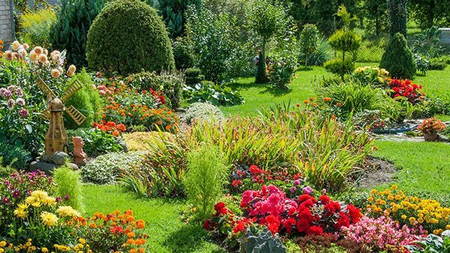 Grand espace vert soigneusement tondu avec des fleurs multicolores