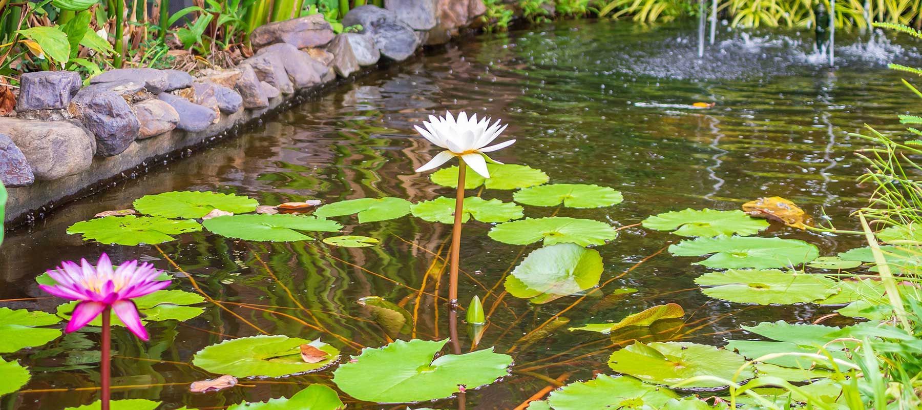 Focus sur un bassin après le terrassement