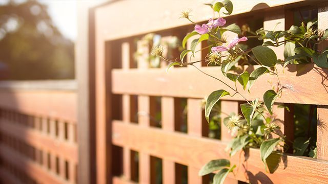 Clôture en bois ensoleillée