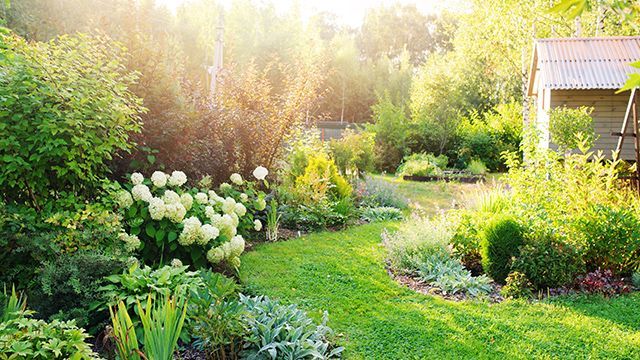 Jardin à l'ambiance romantique