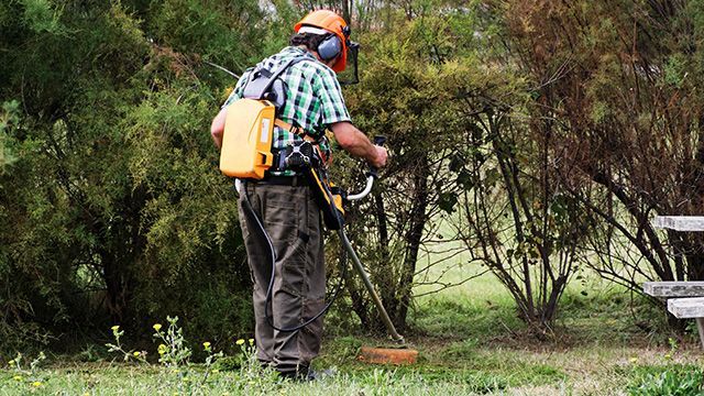 Un professionnel passant la débroussailleuse dans jardin privé