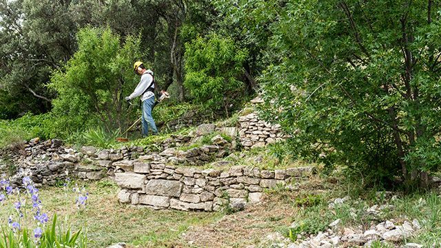 Un professionnel passant la débroussailleuse