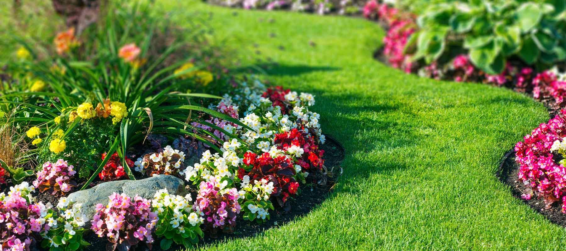 Jardin entretenu par un professionnel