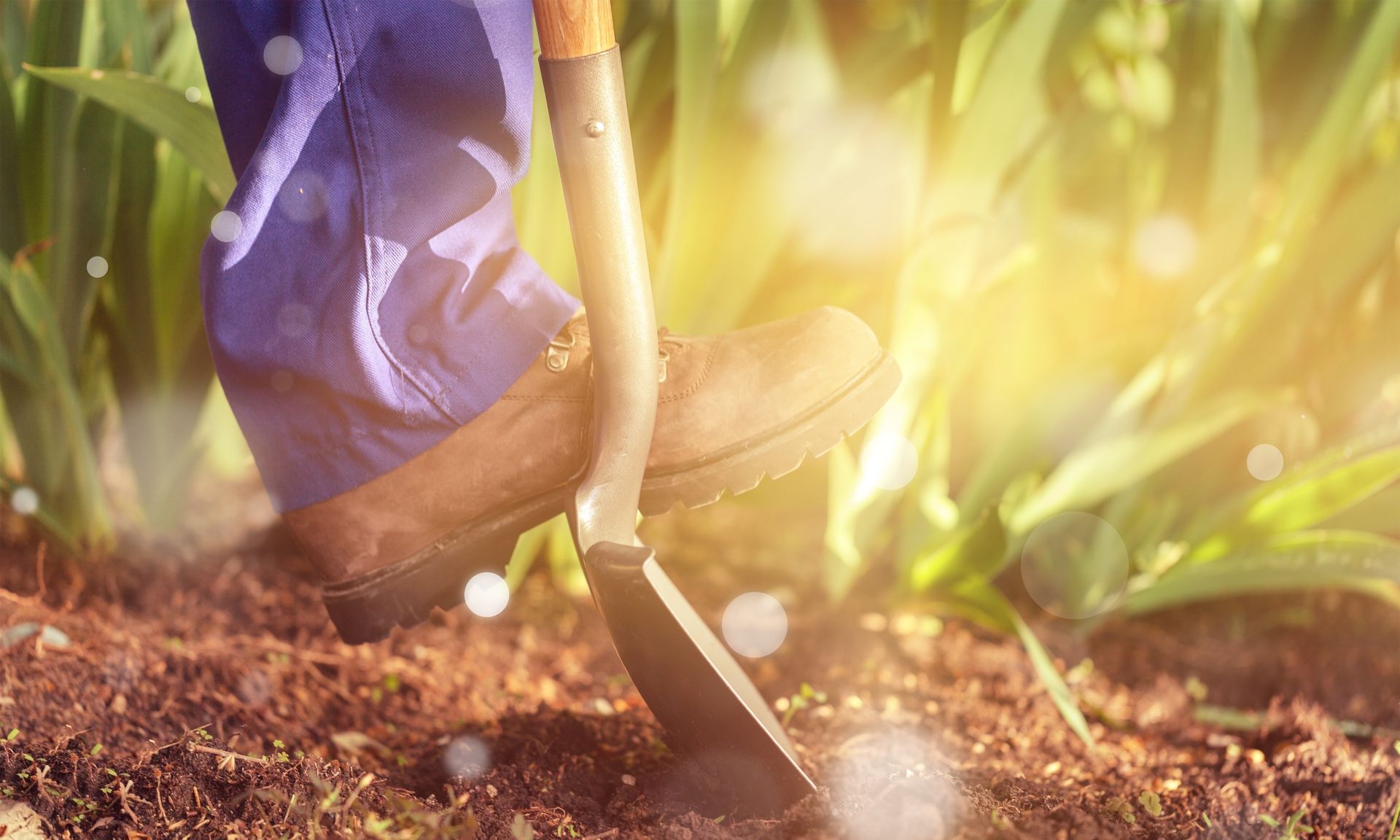 Focus sur un professionnel enfonçant la pelle dans la terre