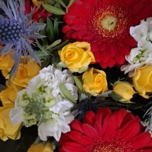 Holländisches Blumen Center Geldern