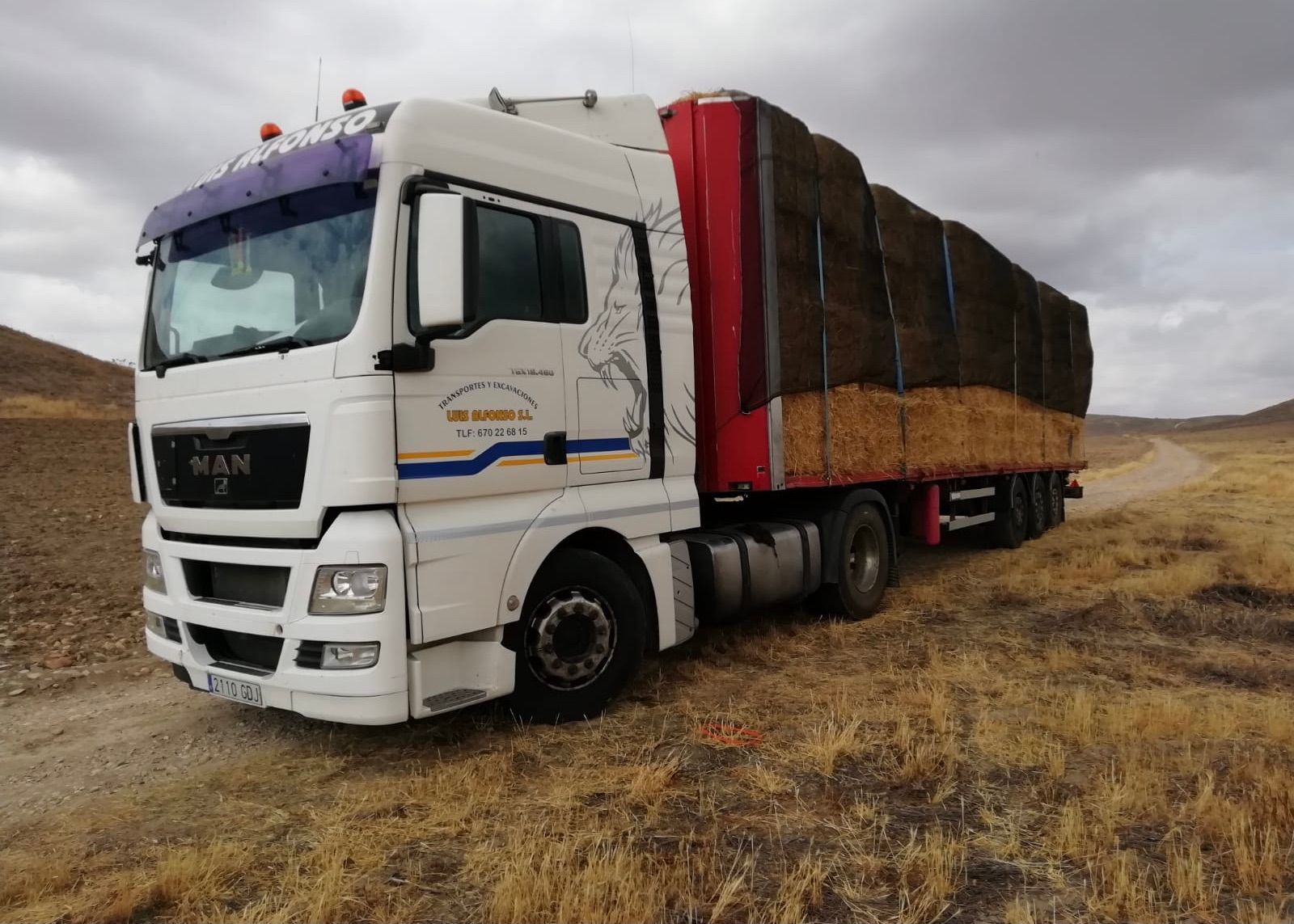 Un camión blanco con un remolque rojo circula por un camino de tierra.