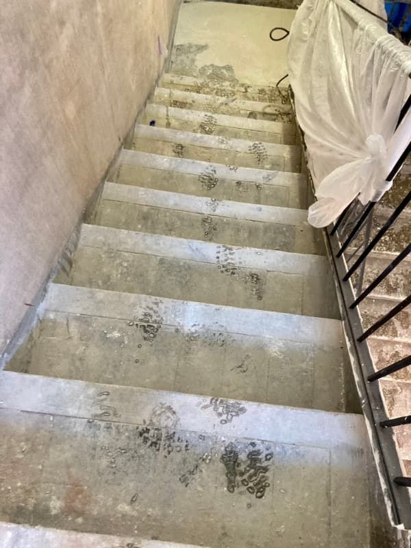 Un conjunto de escaleras que conducen a un edificio con una barandilla de metal.