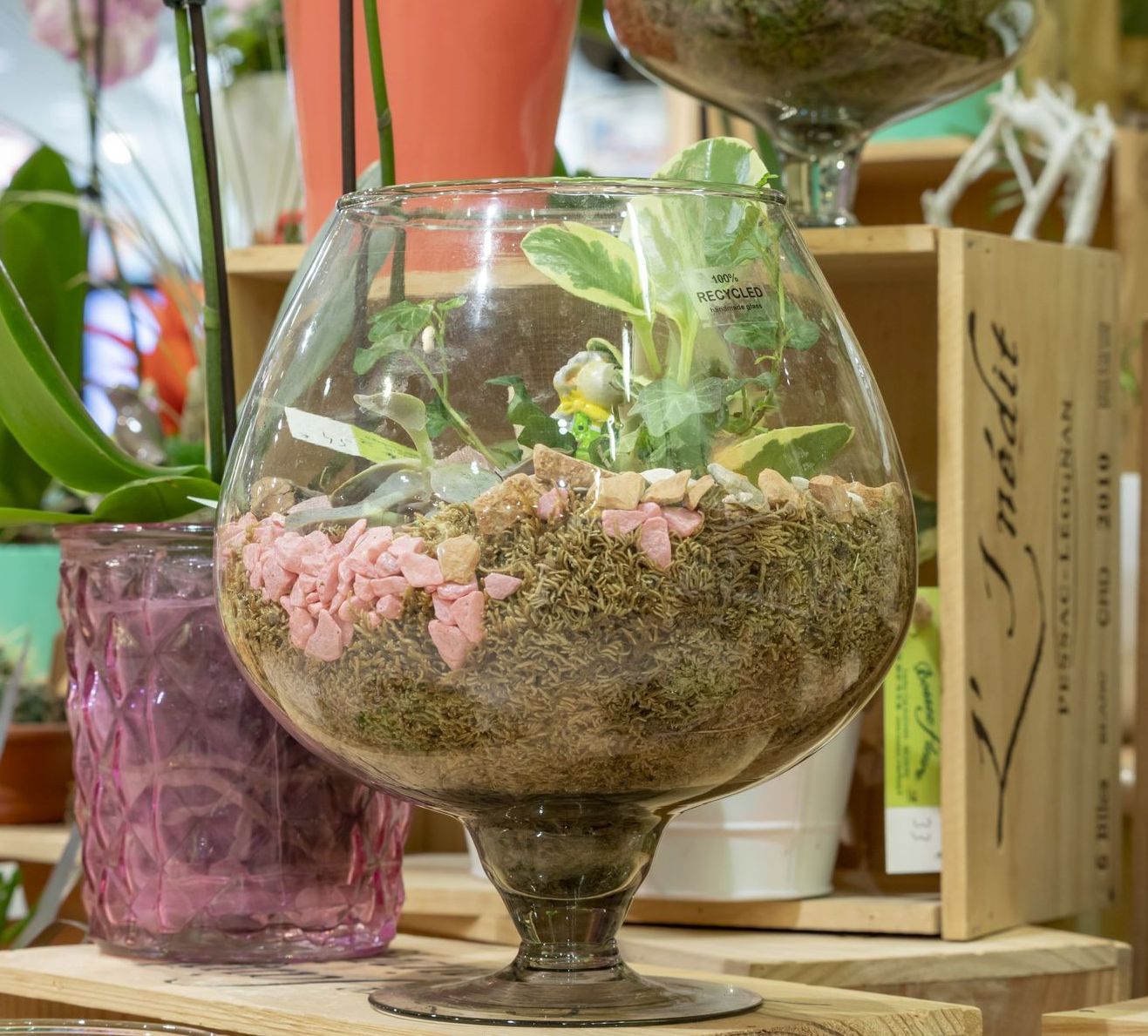 Un verre qui contient une petite plante