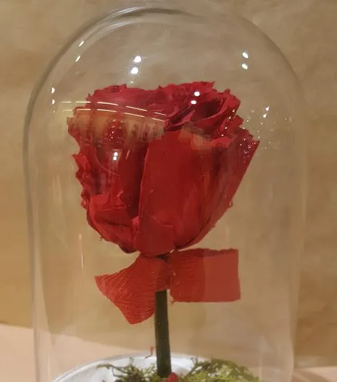 Une rose rouge et un ruban rouge