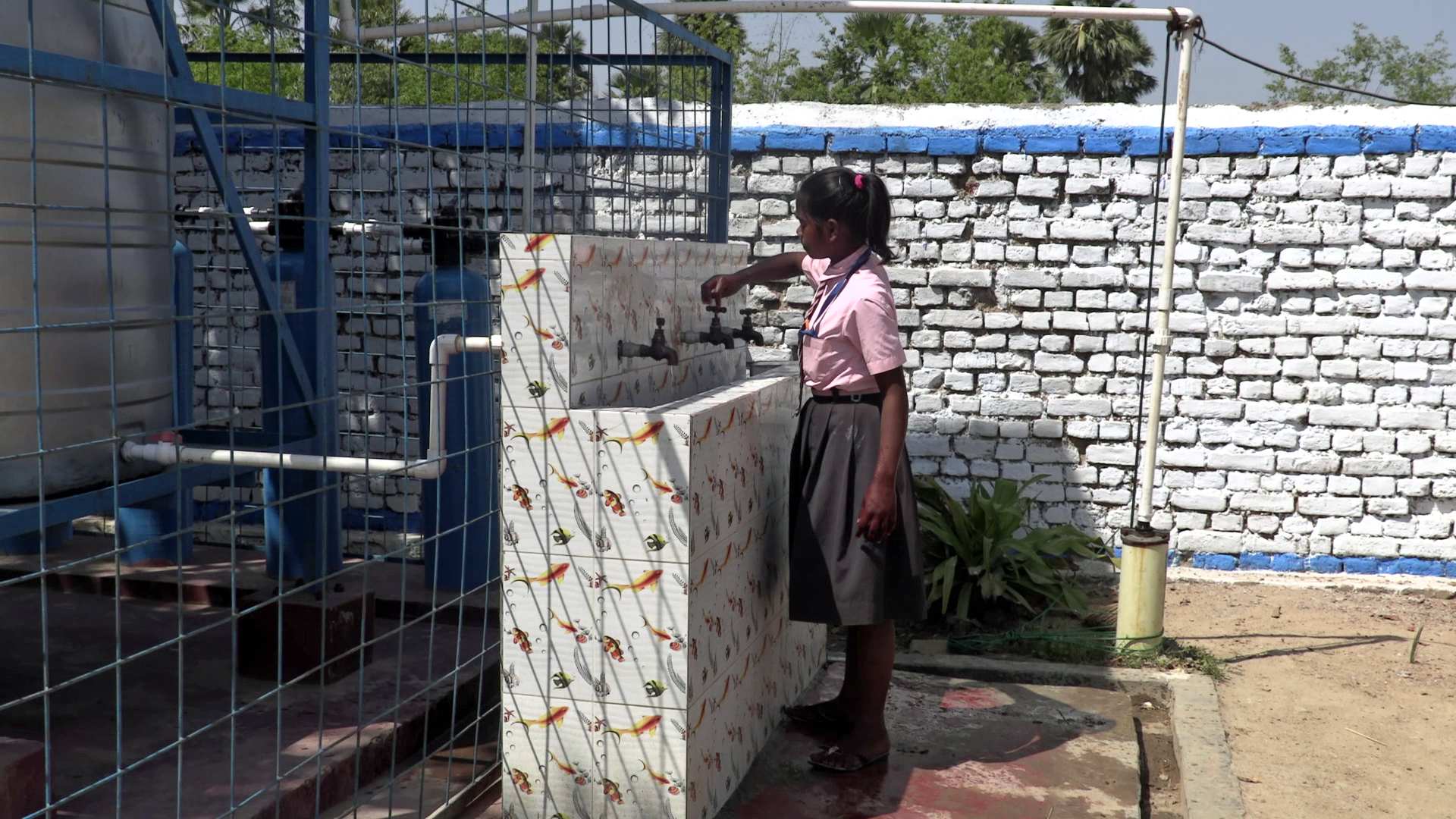 removal plant au Bihar - Ecoles de la Terre