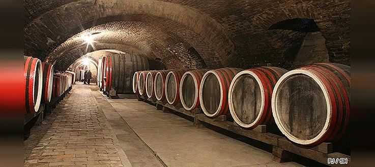 Vins référencés: cave à vin, vins bio dans le Haut-Rhin (68)