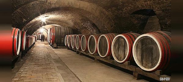 Cave à vin bio et vins référencés dans le Haut-Rhin (68)