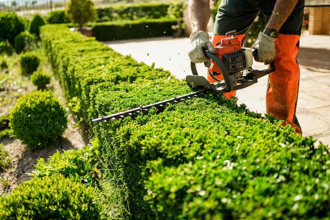 Gartenpflege Heckenschnitt