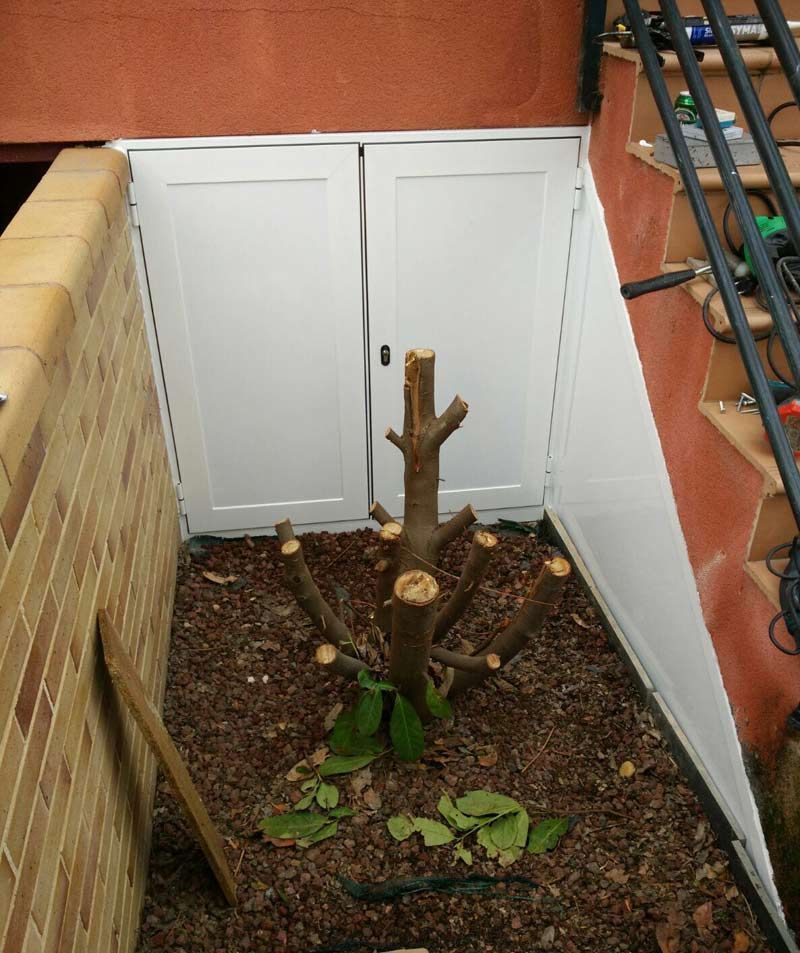 Un árbol está creciendo de un agujero en una pared.