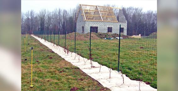 Haie champêtre avec paillage biodégradable