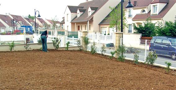 Engazonnement et plantation haie libre