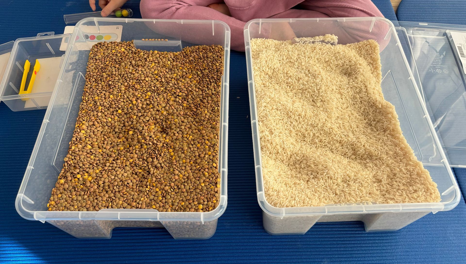 Ergoterapia Colibrì, specializzato nell'elaborazione degli stimoli sensoriali. 