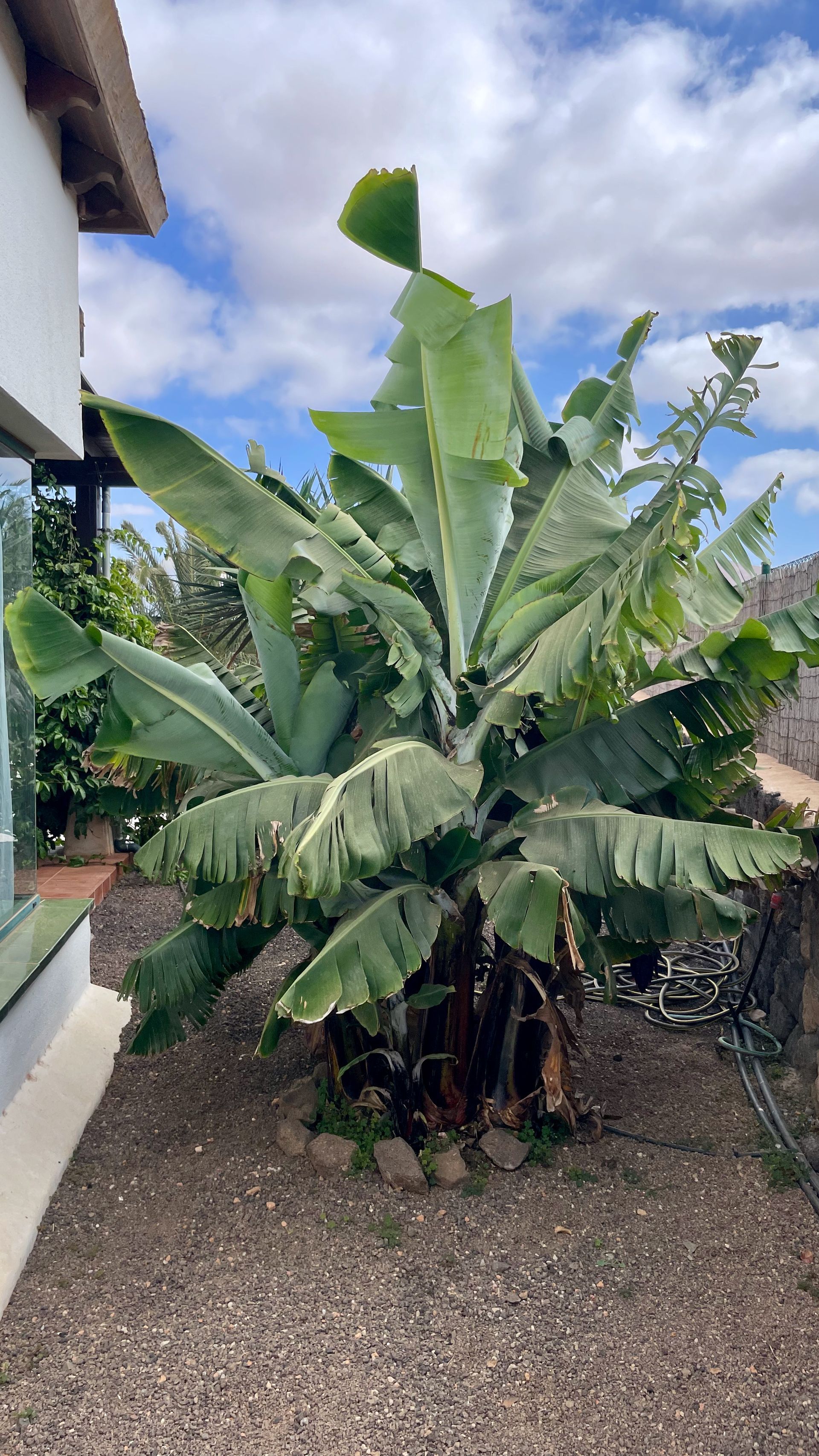 Piscine Villa Fuerteventura Vacances Booking Prix